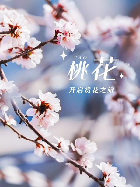 追花指南第三期！別等了 今天就去和桃花撞個滿懷