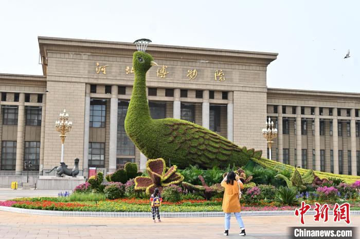 圖為游客在花壇前拍照打卡?！〉杂鸺?攝