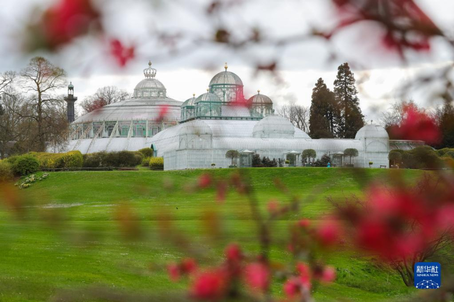 這是4月14日在比利時(shí)布魯塞爾拍攝的拉肯宮王家溫室花園。新華社記者 鄭煥松 攝