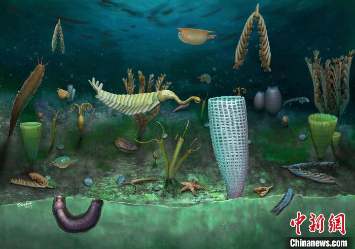 Castle Bank動物群藝術復原圖(Yang Dinghua繪制)。　施普林格·自然 供圖