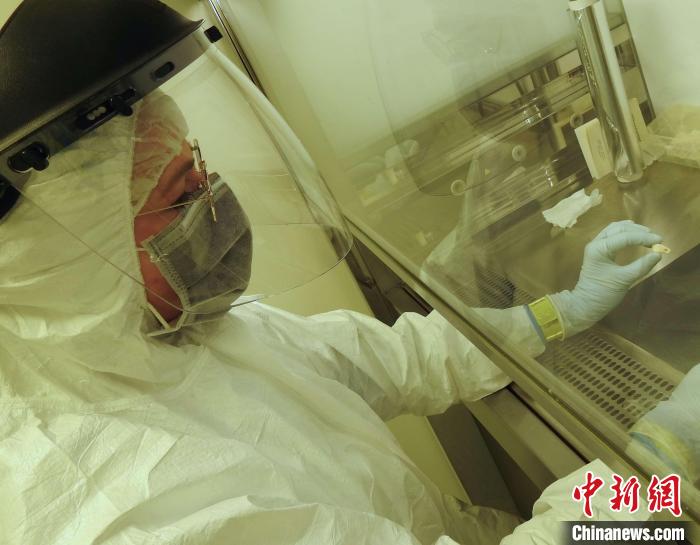 Elena Essel在凈室中處理鹿牙墜飾(圖片來(lái)自馬克斯·普朗克演化人類(lèi)學(xué)研究所)?！∈┢樟指瘛ぷ匀?供圖