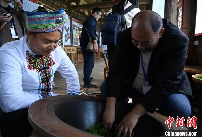 東盟國(guó)家媒體記者了解制茶工藝?！堊?攝