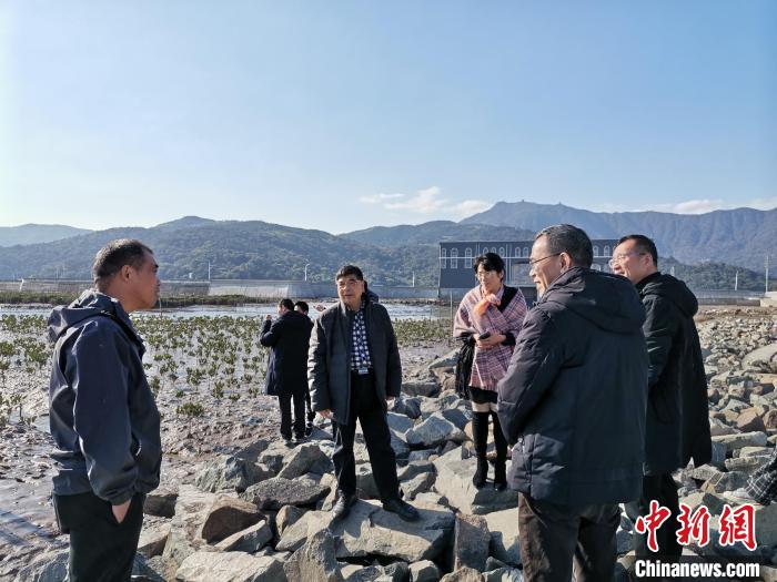 浙江海洋生態(tài)觀察：智慧大腦如何解鎖藍色發(fā)展密碼？