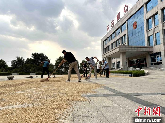 平原縣組織志愿者幫助農(nóng)民晾曬小麥?！垈?攝