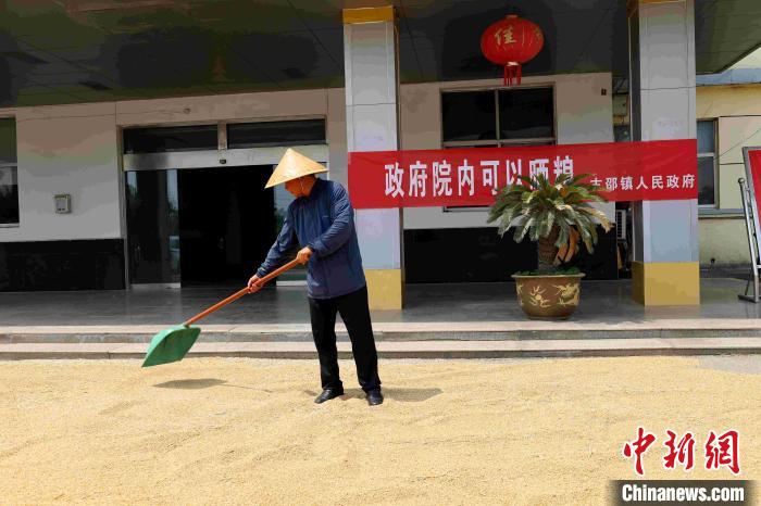 村民在棗莊市嶧城區(qū)古邵鎮(zhèn)政府大院內(nèi)晾曬糧食?！『?　攝