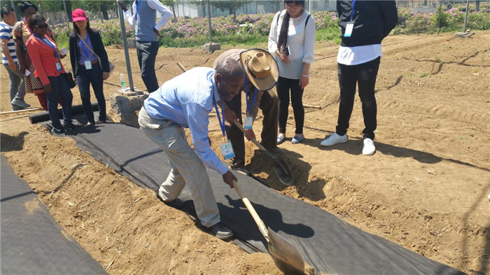 孫釗現(xiàn)場(chǎng)指導(dǎo)農(nóng)民耕種。受訪者供圖