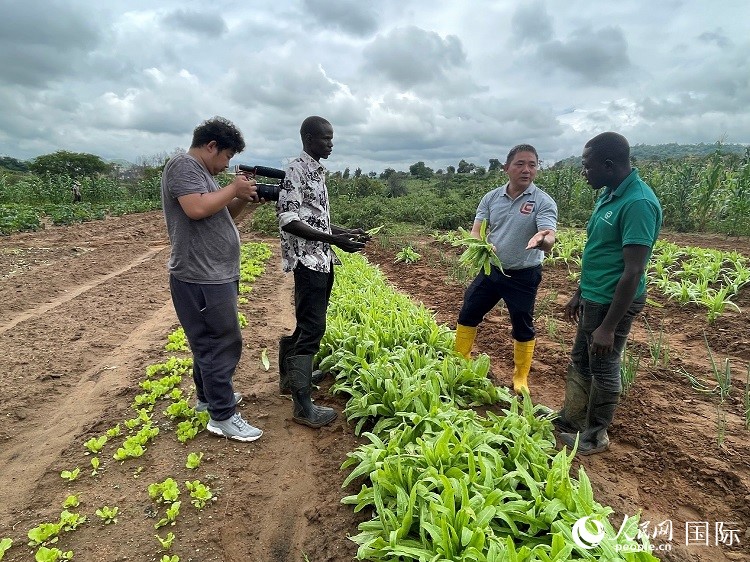 人民網(wǎng)記者走進尼日利亞農(nóng)業(yè)技術示范中心。人民網(wǎng)記者 趙艷紅攝