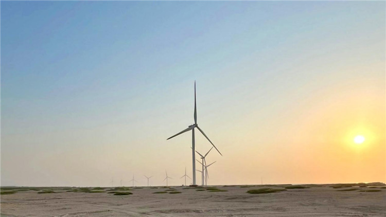 圖為阿聯(lián)酋風(fēng)電示范項(xiàng)目在阿布扎比薩爾巴尼亞斯島上的風(fēng)電場。 中國電建供圖