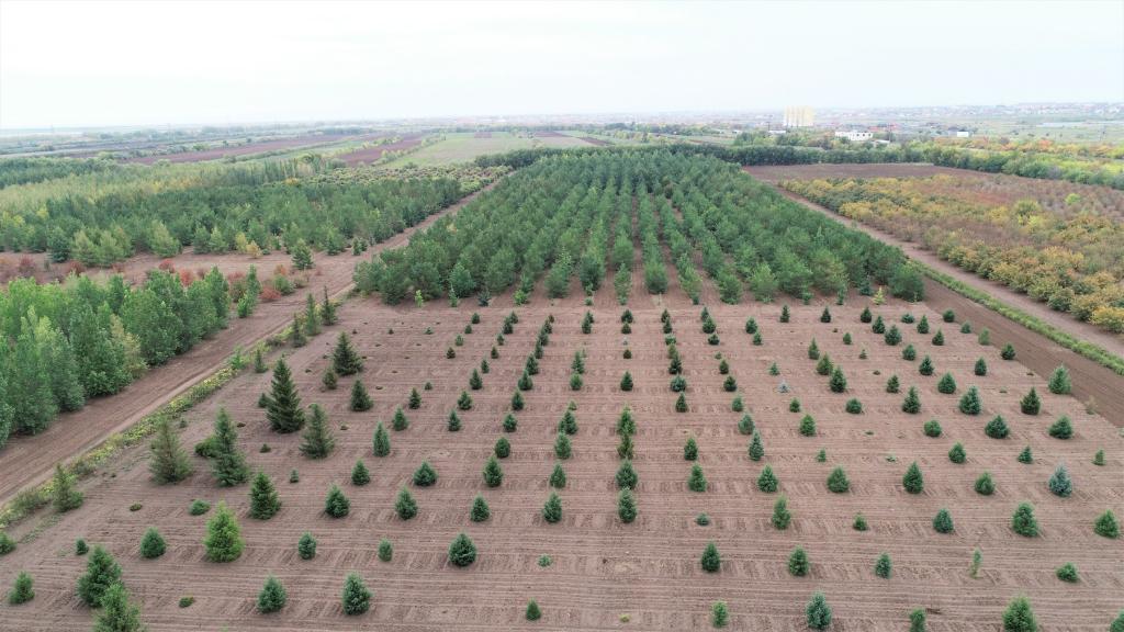 這是2023年9月11日在哈薩克斯坦首都阿斯塔納拍攝的一處植物種質(zhì)資源苗圃（無人機照片）。新華社發(fā)（法爾哈特·圖克諾夫 攝）