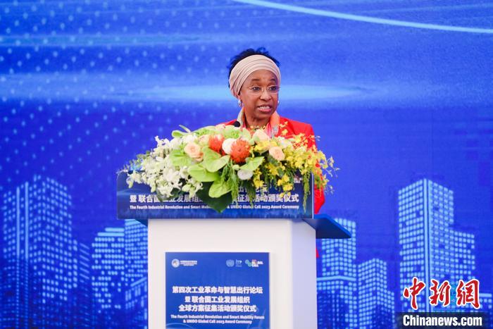 聯(lián)合國工業(yè)發(fā)展組織總干事代表兼執(zhí)行干事法圖 海達(dá)拉致辭。