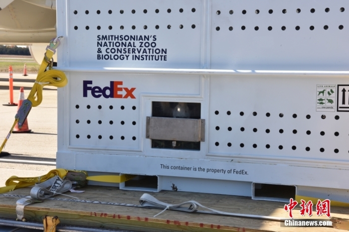 當(dāng)?shù)貢r(shí)間11月8日，美國華盛頓史密森學(xué)會(huì)國家動(dòng)物園的大熊貓“美香”“添添”和它們的幼崽“小奇跡”乘坐的專機(jī)從華盛頓杜勒斯國際機(jī)場(chǎng)起飛前往中國成都。圖為裝有大熊貓的特制“旅行箱”。<a target='_blank' href='/'><p  align=