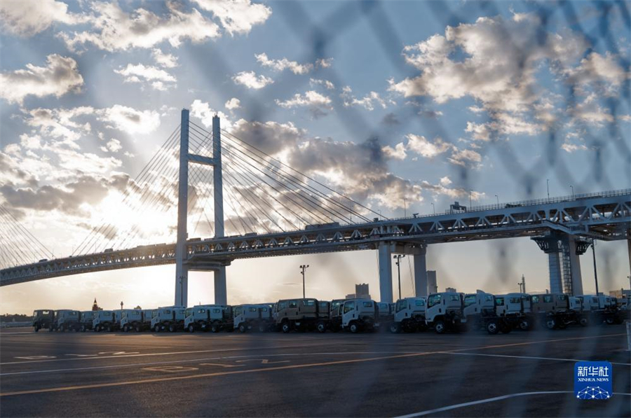 這是11月14日在日本橫濱拍攝的進(jìn)出口汽車集散場(chǎng)地。新華社記者 張笑宇 攝