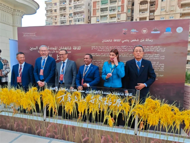 圖為現(xiàn)場嘉賓為特展啟幕。開羅中國文化中心供圖