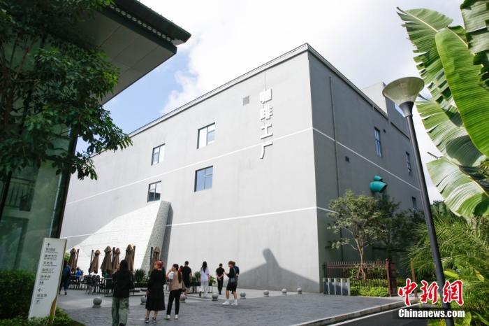 圖為采訪團(tuán)一行參觀咖啡工廠。 曹淼欣 攝