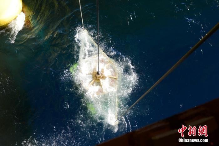 機(jī)器人入水瞬間。<a target='_blank' href='/' _fcksavedurl='/' ><p  align=