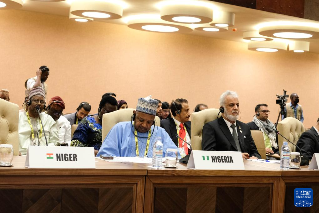 1月20日，與會代表出席在烏干達首都坎帕拉舉行的不結盟運動第19次峰會閉幕式。新華社發(fā)（阿佳拉·納瓦達攝）