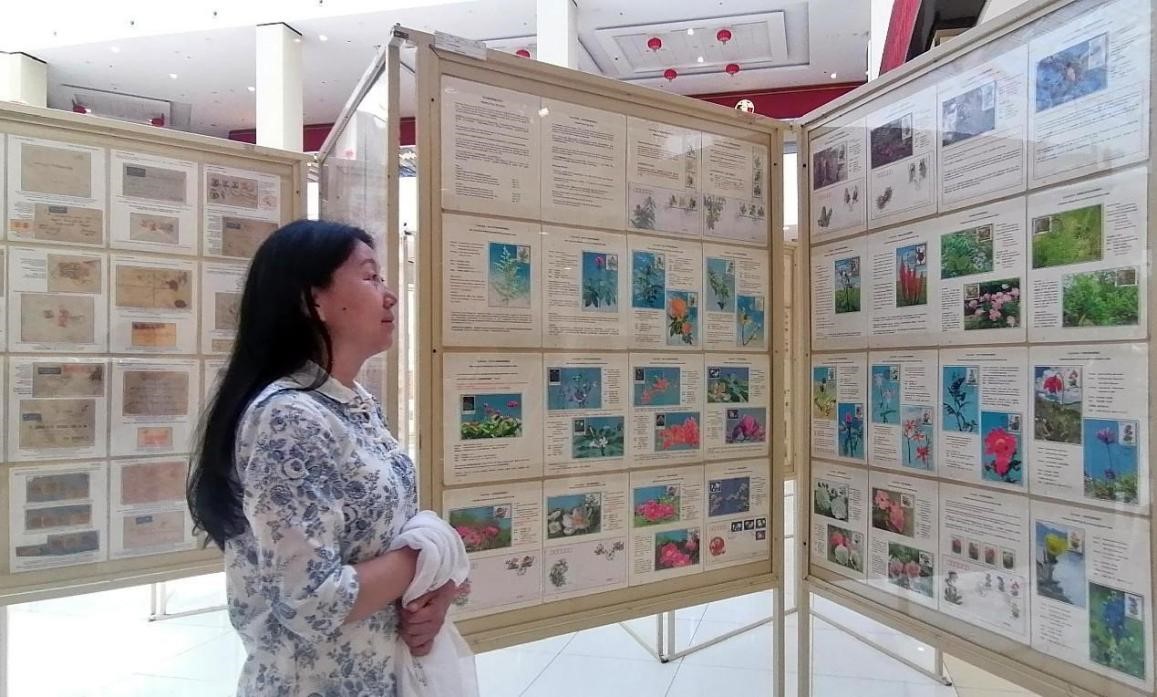 藥用植物極限片展覽場(chǎng)景。第七屆阿聯(lián)酋集郵展主辦方供圖