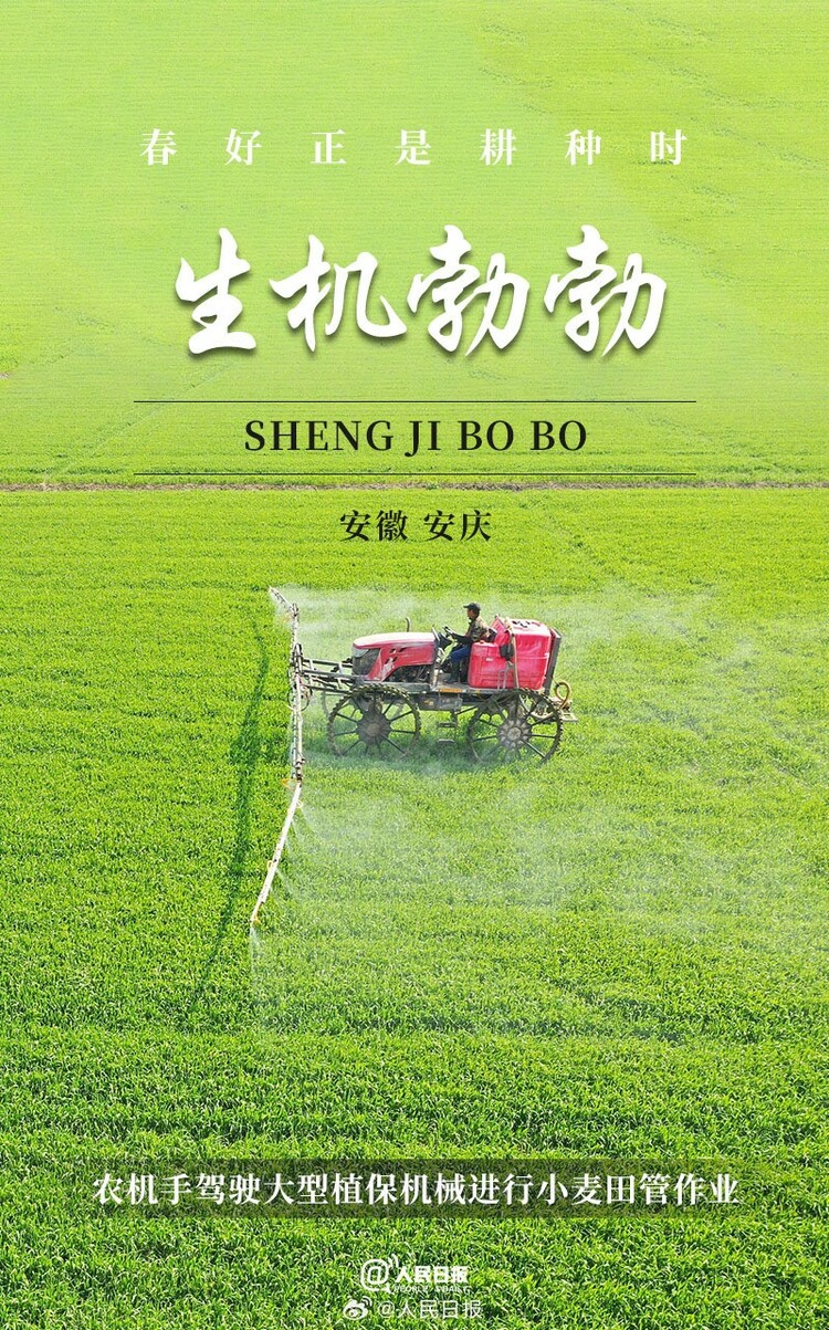 生機(jī)盎然！用課本封面打開春耕畫卷