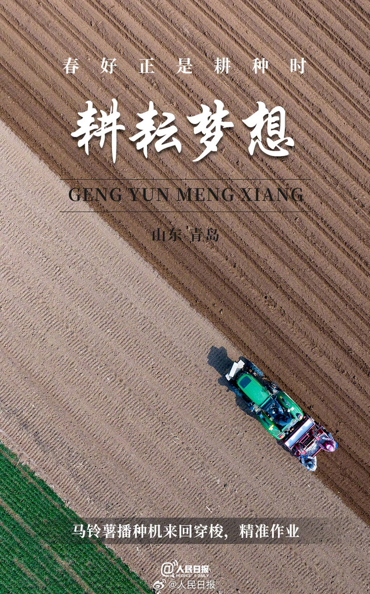 生機(jī)盎然！用課本封面打開春耕畫卷