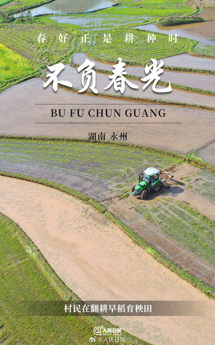 生機(jī)盎然！用課本封面打開春耕畫卷