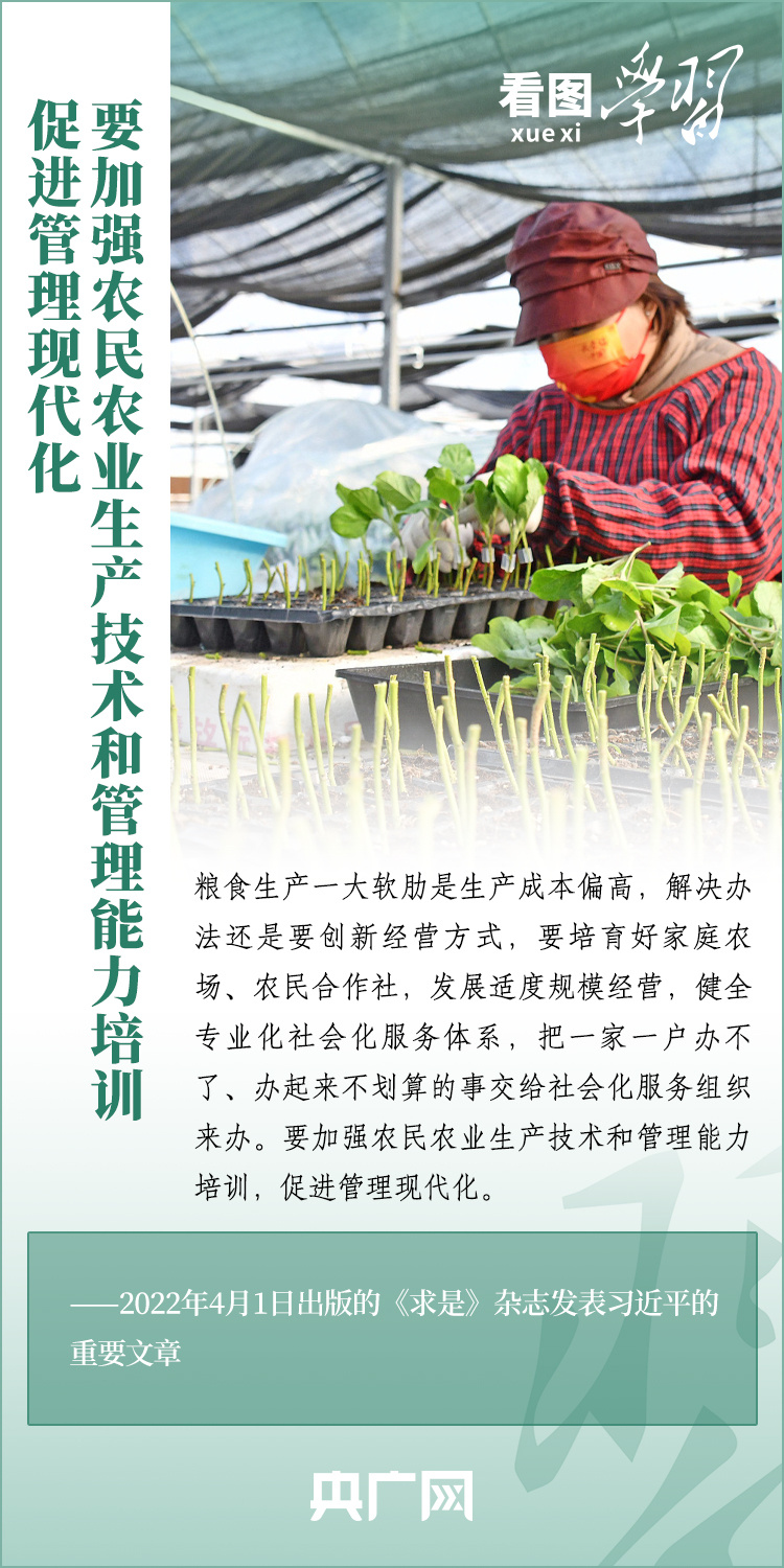 看圖學(xué)習(xí)丨推廣良田、良種、良法、良機(jī) 給農(nóng)業(yè)現(xiàn)代化插上科技的翅膀