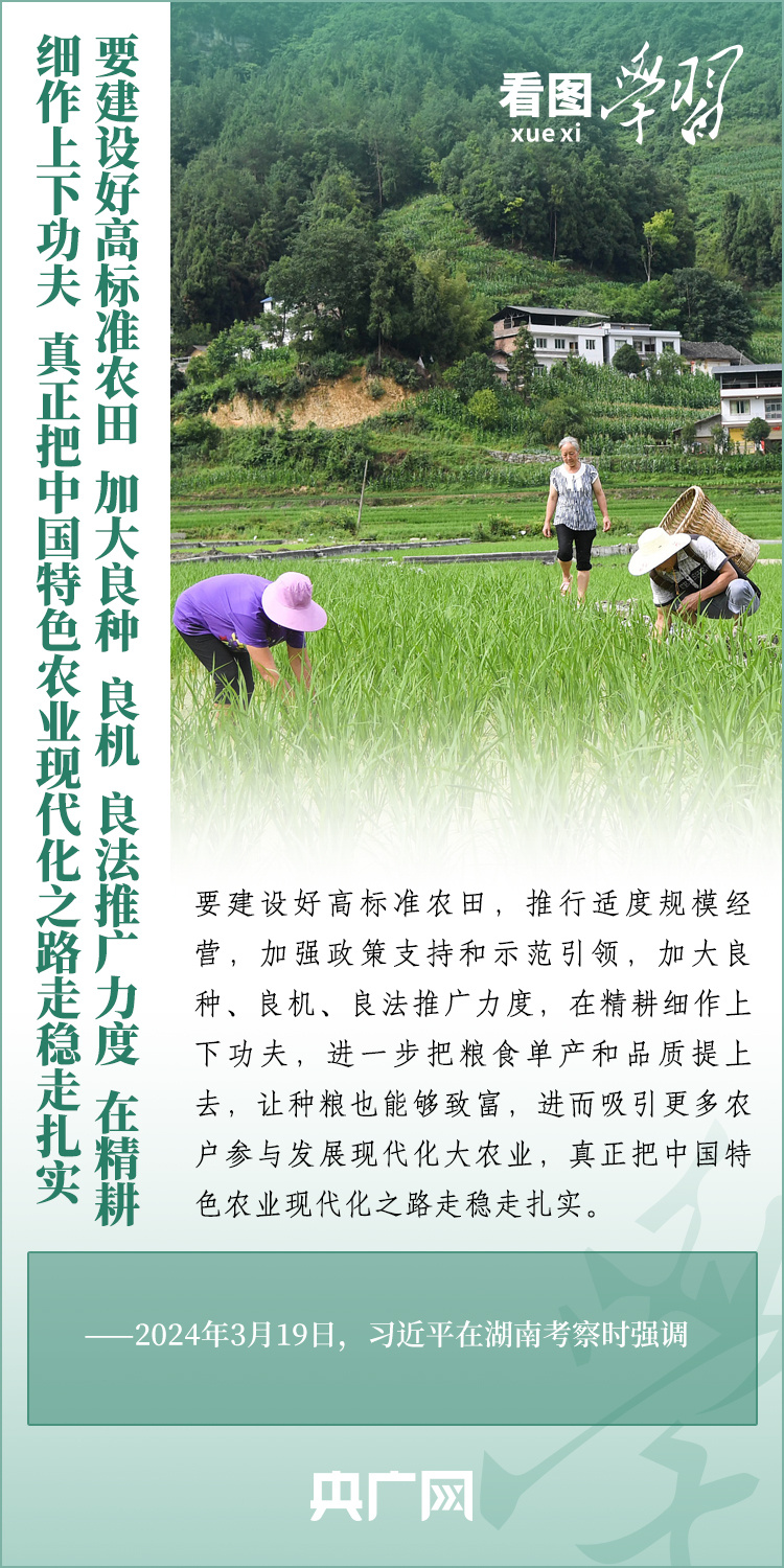 看圖學(xué)習(xí)丨推廣良田、良種、良法、良機(jī) 給農(nóng)業(yè)現(xiàn)代化插上科技的翅膀