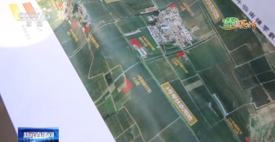 “三夏”生產(chǎn)思維導(dǎo)圖安排上了！還有政府大院等你來(lái)“曬”