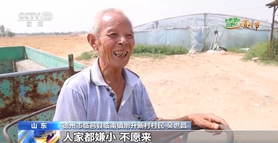 “三夏”生產(chǎn)思維導(dǎo)圖安排上了！還有政府大院等你來(lái)“曬”