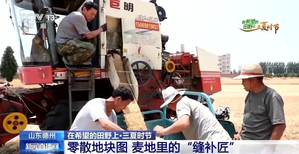 “三夏”生產(chǎn)思維導(dǎo)圖安排上了！還有政府大院等你來(lái)“曬”