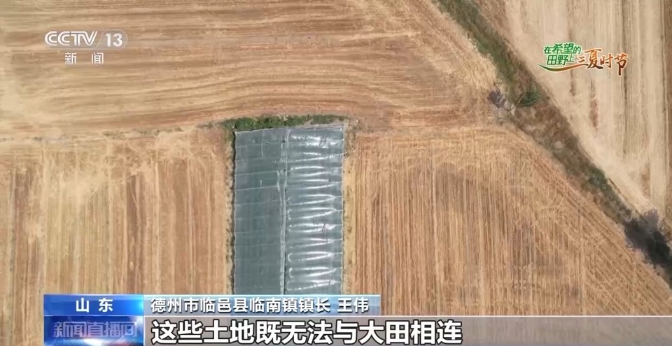 “三夏”生產(chǎn)思維導(dǎo)圖安排上了！還有政府大院等你來(lái)“曬”