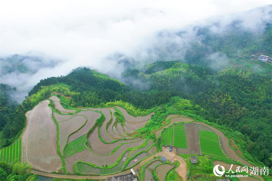 云中梯田美如畫(huà)。人民網(wǎng) 李芳森攝