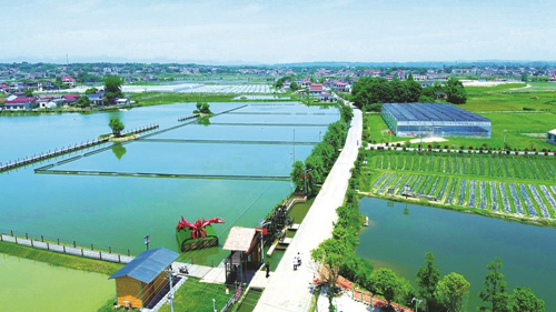 近年來，大成橋鎮(zhèn)堅持加強(qiáng)黨對鄉(xiāng)村治理的集中統(tǒng)一領(lǐng)導(dǎo)，該鎮(zhèn)鄉(xiāng)村治理模式入選第二批全國鄉(xiāng)村治理典型案例。圖為美麗的大成橋鎮(zhèn)。（資料圖片）