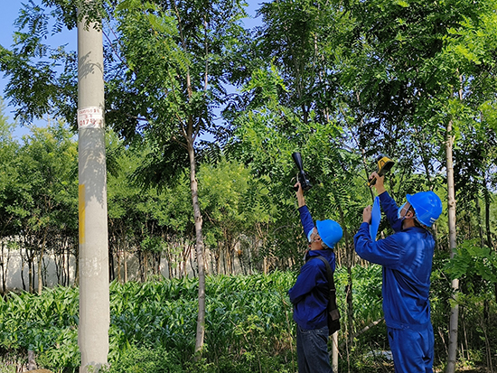 工作人員進(jìn)行紅外測(cè)溫及超聲波局部放電檢測(cè)。 王亮攝