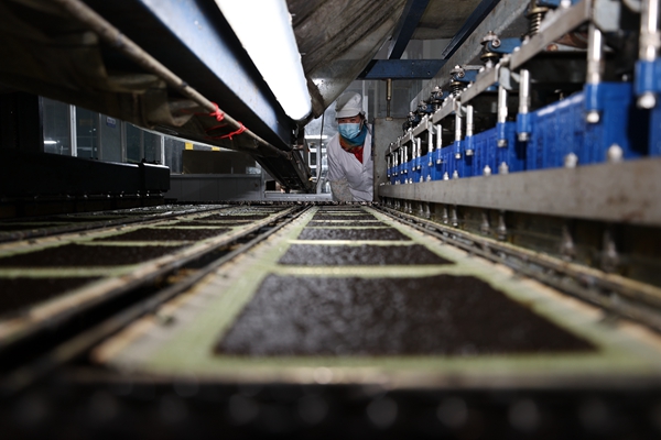 柘汪紫菜產(chǎn)業(yè)園內(nèi)入駐企業(yè)的紫菜生產(chǎn)線。贛榆區(qū)委宣傳部供圖