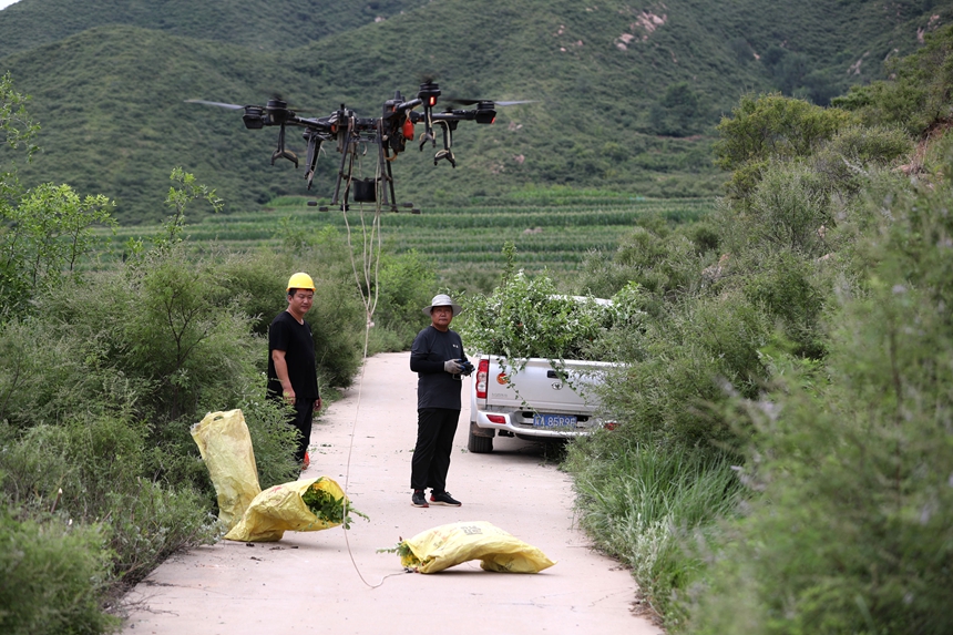 在石家莊市井陘縣吳家窯鄉(xiāng)長(zhǎng)峪村荒山造林現(xiàn)場(chǎng)，一名無(wú)人機(jī)手操控?zé)o人機(jī)運(yùn)輸樹(shù)苗。王保龍攝