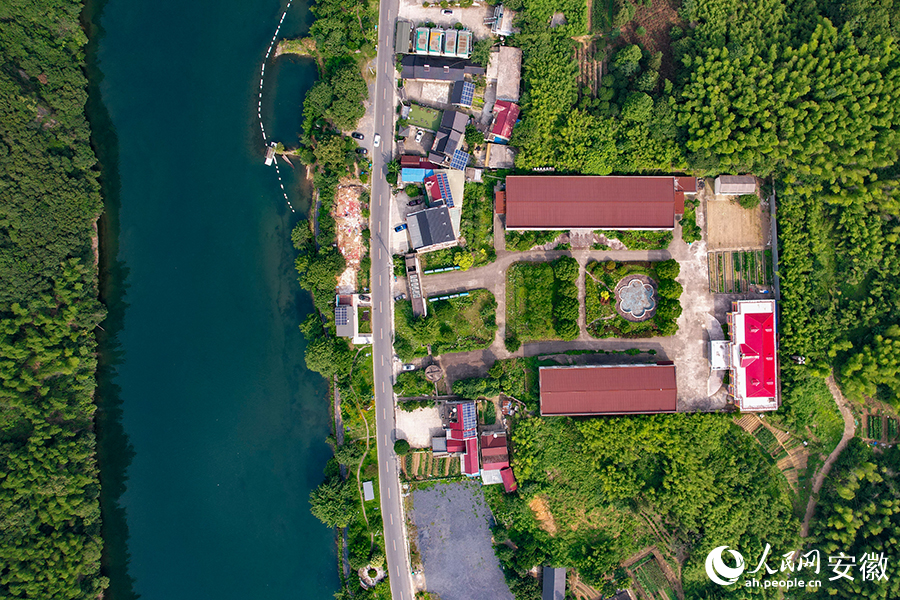 儲家灘民宿區(qū)。人民網(wǎng)記者 苗子健攝