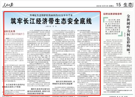 人民日報(bào)。截圖