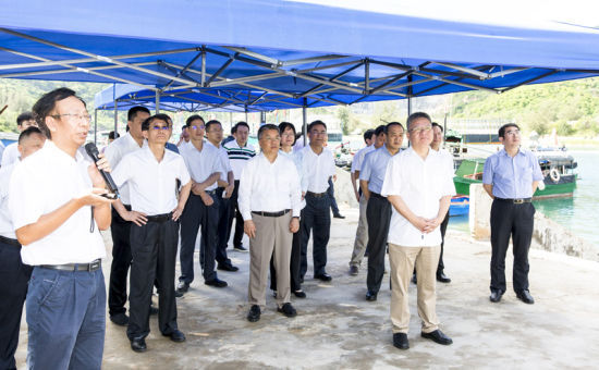 2019年6月21日上午，省長沈曉明率省政府班子成員在三亞鐵爐港調(diào)研項目規(guī)劃建設(shè)情況。海南日報記者 宋國強 攝