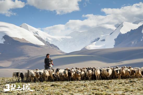 治愈你的不止曠野，更是真實的生活