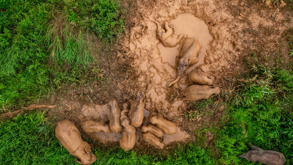 鏡觀·回響丨西部生態(tài)建設：以高水平保護支撐高質量發(fā)展