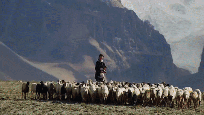 你看了嗎？藏語版《日光之城》“含金量”還在上升！