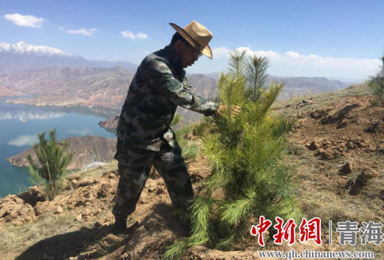 圖為尖扎干部職工生態(tài)建設(shè)和環(huán)境保護(hù)現(xiàn)場(chǎng)。尖宣 供圖