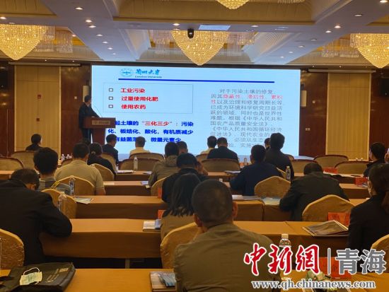 圖為論壇現(xiàn)場。李江寧攝