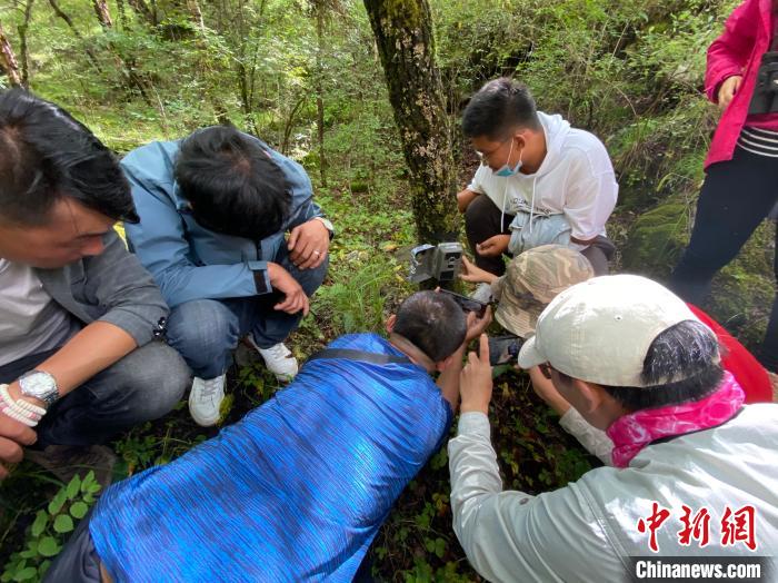 圖為訪客正在查看紅外相機(jī)中的拍攝畫面?！±罱瓕?攝