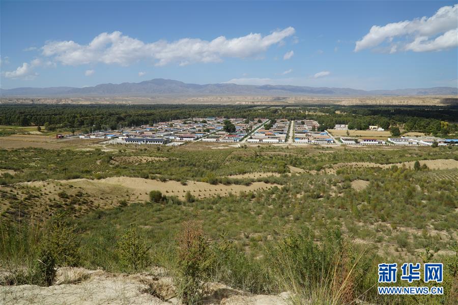 （決戰(zhàn)決勝脫貧攻堅·圖文互動）（2）高原鄉(xiāng)鎮(zhèn)沙珠玉 治沙斗貧成“綠?！薄嗪Ｊ」埠涂h沙珠玉鄉(xiāng)采訪見聞