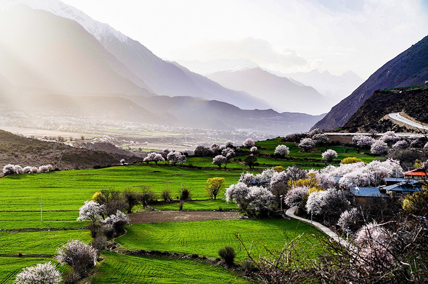 西藏林芝市波密縣傾多鎮(zhèn)八朵卡的田園風(fēng)光（攝于4月5日）。新華網(wǎng) 達(dá)娃攝.jpg