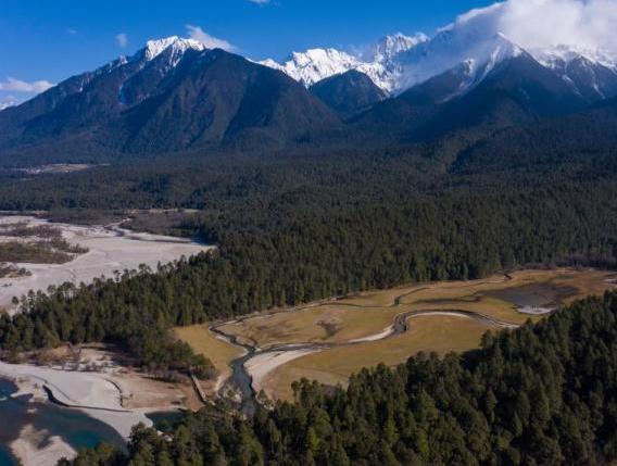 資料圖：西藏崗云杉林與遠處的雪峰。 何蓬磊 攝