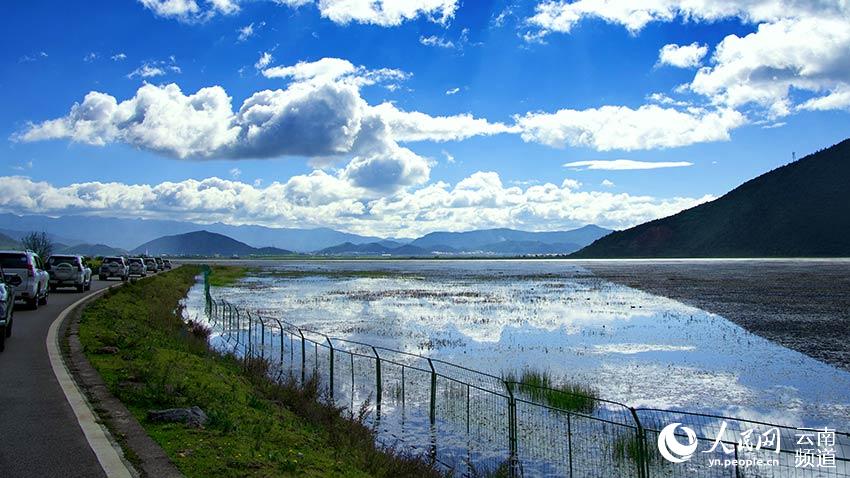 納帕海濕地。呂昊辰攝