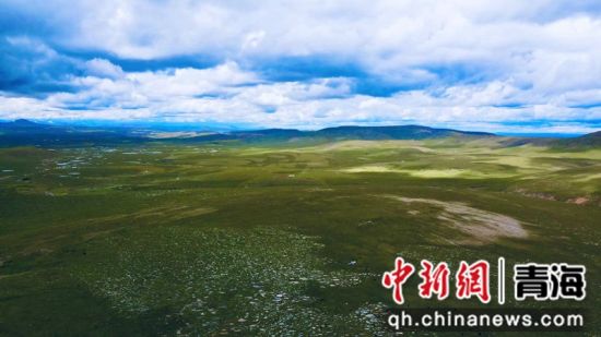 圖為長江南源沼澤濕地。李江寧攝