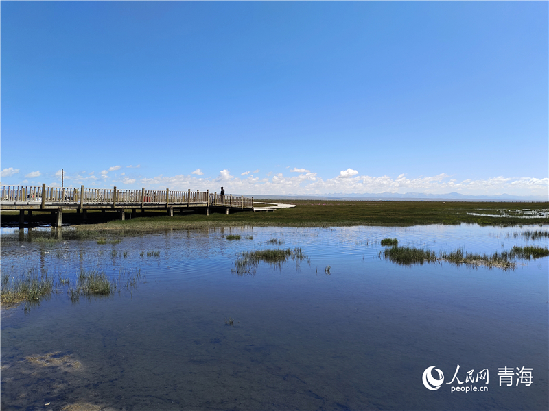   青海湖仙女灣。人民網(wǎng) 張莉萍攝